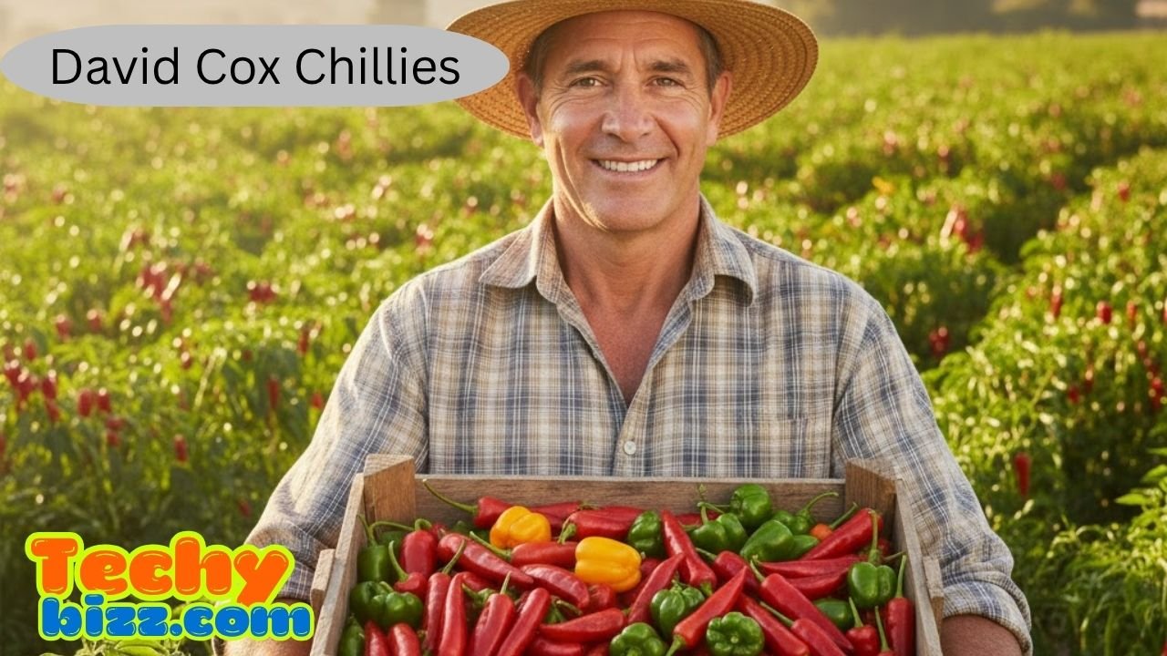 David Cox Chillies