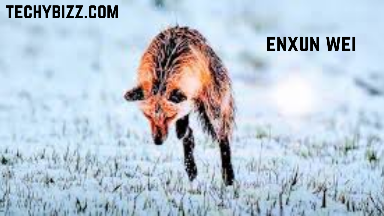 enxun wei