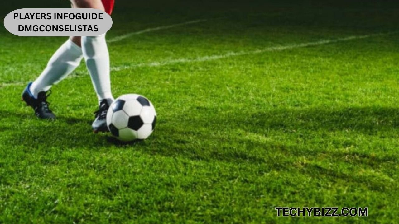 Players Infoguide Dmgconselistas