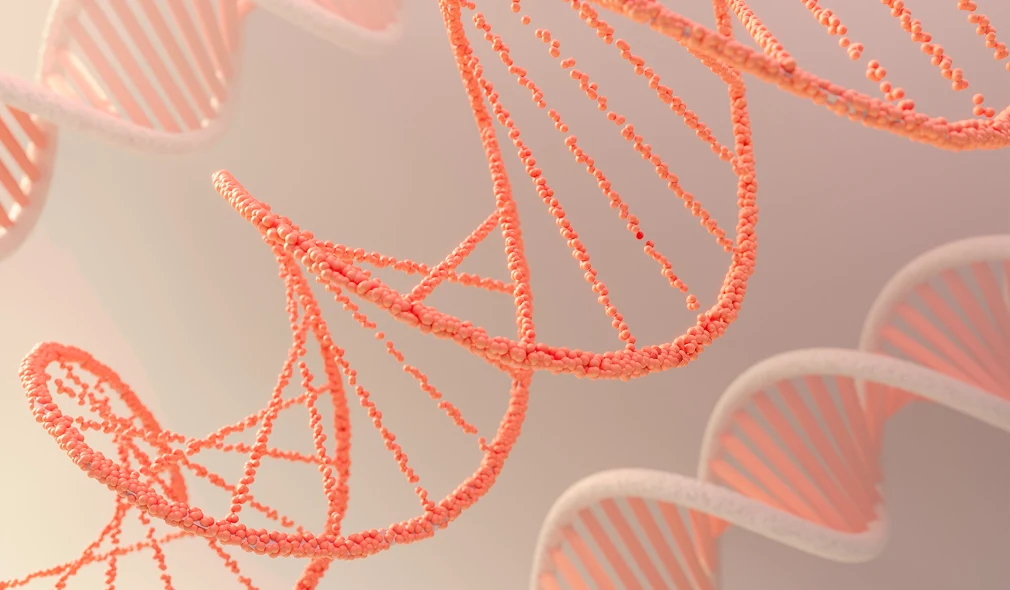Custom Amplicon Sequencing Panel