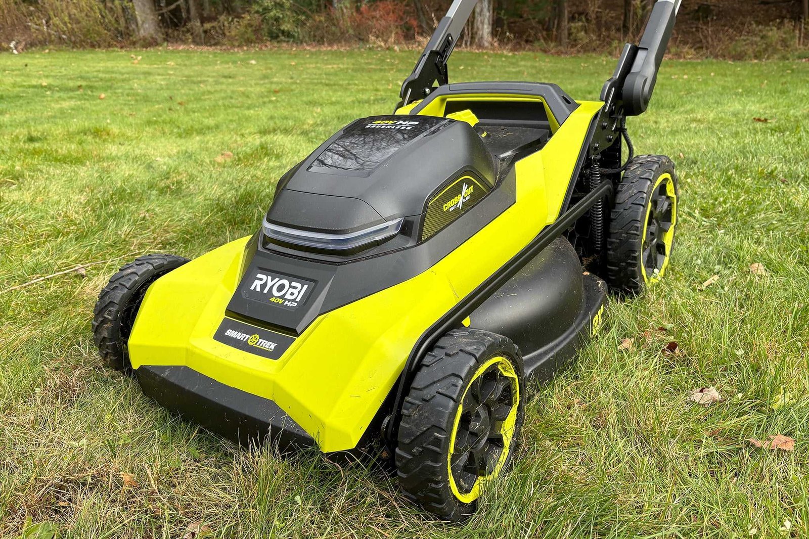 Compare Lawn
